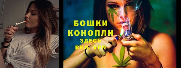 Альфа ПВП Дмитровск