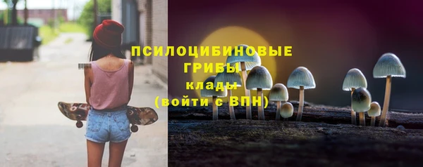 хмурый Дмитров