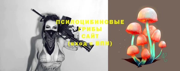 хмурый Дмитров