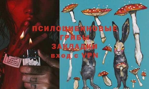 хмурый Дмитров