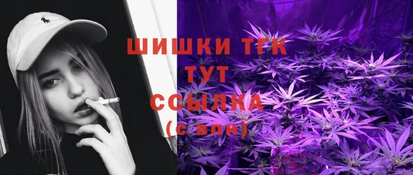Альфа ПВП Дмитровск