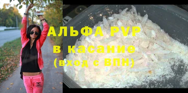 хмурый Дмитров