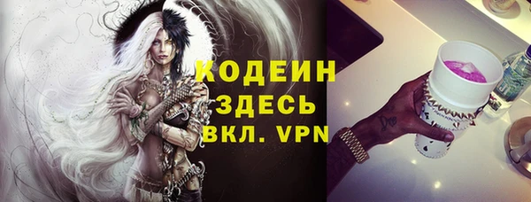 хмурый Дмитров