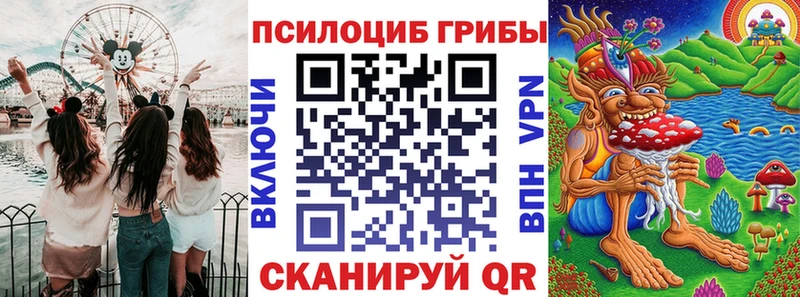 Купить где  Данилов  Псилоцибиновые грибы GOLDEN TEACHER 